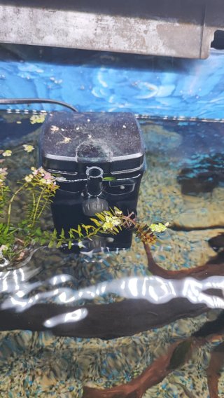 Acuario 60L cristal y plástico