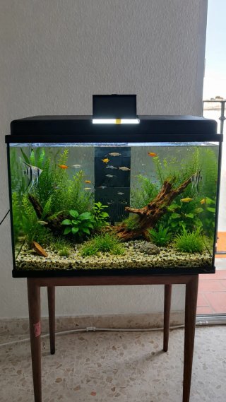 Acuario 60L cristal y plástico