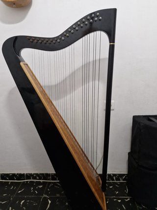 Arpa Llanera Venezolana con Micrófono