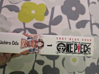 manga one piece tomo gordo