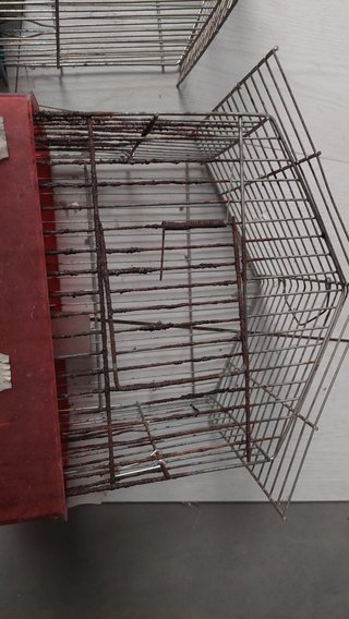 Jaulas para pájaros (2 unidades) GRATIS