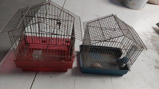 Jaulas para pájaros (2 unidades) GRATIS