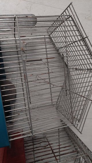Jaulas para pájaros (2 unidades) GRATIS