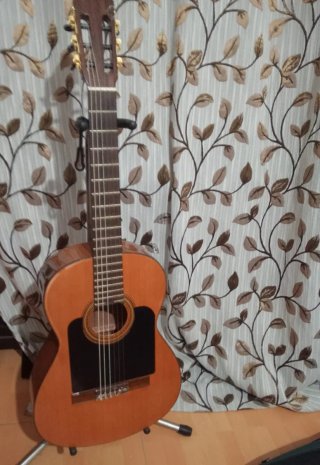 Guitarra Clásica José Ramírez