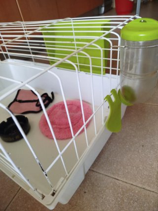 Jaula para cobaya o conejo rosa