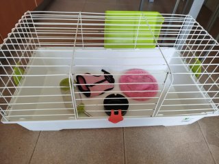Jaula para cobaya o conejo rosa