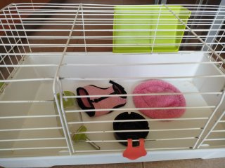 Jaula para cobaya o conejo rosa
