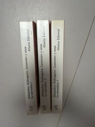 La matematica/ Mathematics Su Contenido, Metodo...
