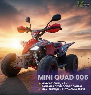 Mini Quad Xtreme 005