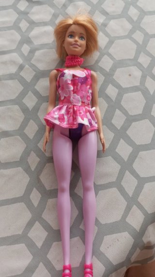 Lote de 6 muñecas Barbie y accesorios