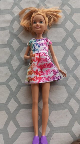 Lote de 6 muñecas Barbie y accesorios