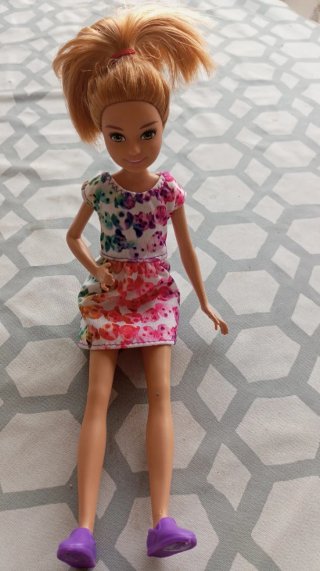 Lote de 6 muñecas Barbie y accesorios