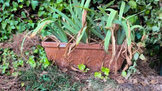 Maceta Rectangular Barro Decorada