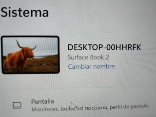 Microsoft Surface Gris Plata pro 2
