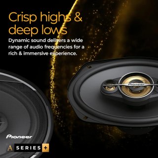 ALTAVOCES PIONEER