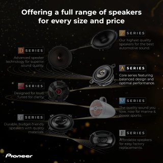 ALTAVOCES PIONEER