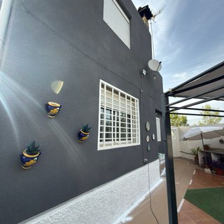 Pintor profesional Sagunto