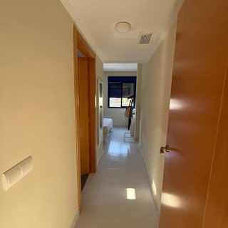 Pintor profesional Sagunto