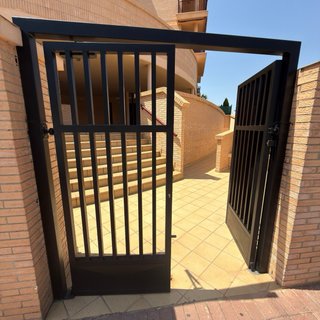 Pintor profesional Sagunto