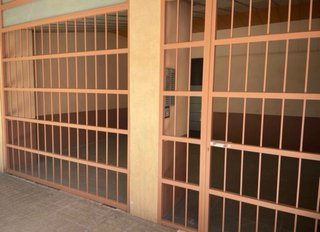 Pintor profesional Sagunto