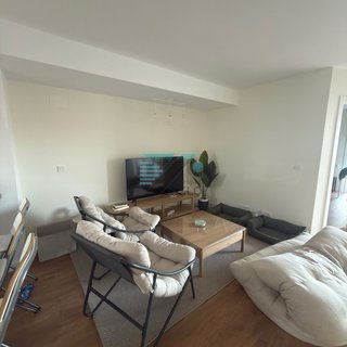 Pintor profesional Sagunto