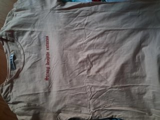 Lote 3 camisetas: mariposa, rosa, texto