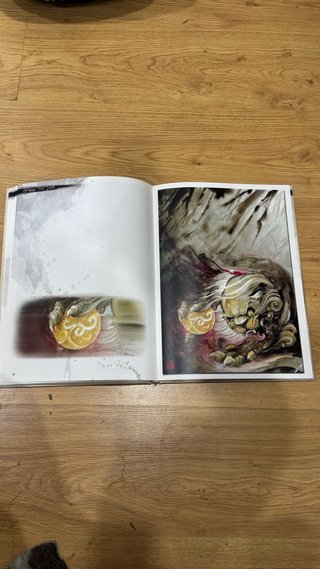 Libro de arte Chinese Foo Dog – Ilustraciones