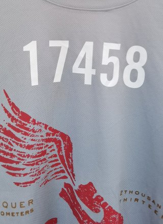 Camiseta deportiva Nike gris