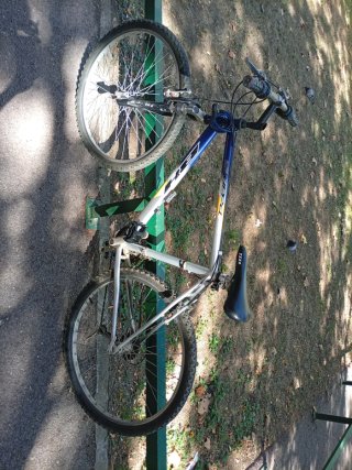 Bicicleta BH Supra
