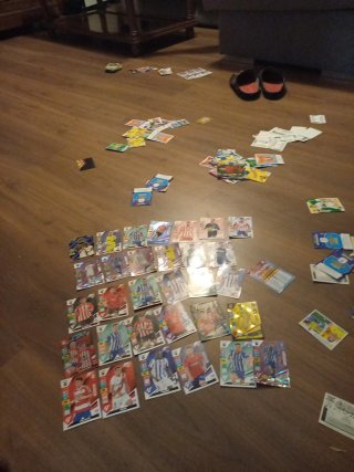 Cromos Adrenalyn XL 23/24