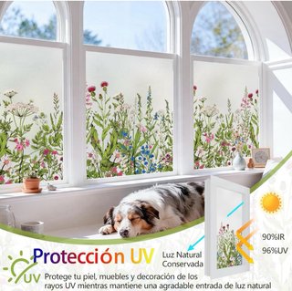 Vinilos Decorativos Botánicos para Cristales