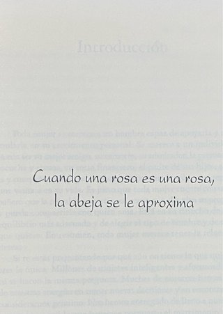No Hay Principe Y Otras Verdades Que Tu Madre N...
