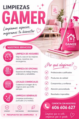 Limpiezas Gamer