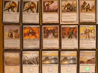 Lote 37 Cartas Magic The Gathering (Blanco)