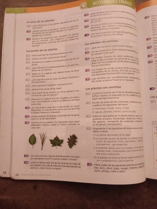 Biología y geología 1o ESO La biodiversidad en ...