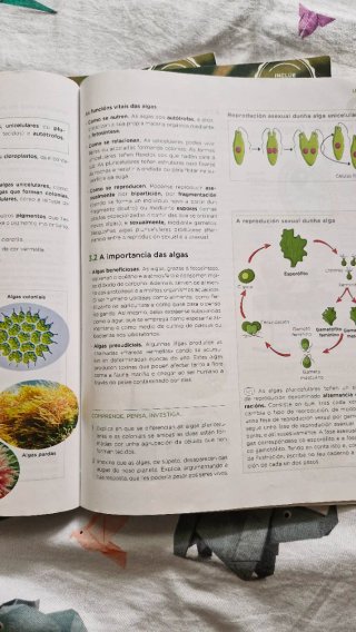 Bioloxia e Xeoloxia, 1 Secundaria, Revoa