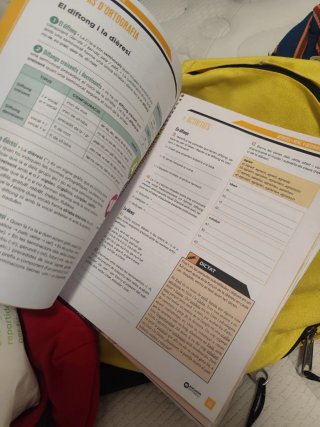 Llengua catalana, 4 ESO. Dossier