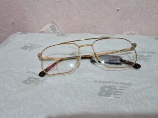 Gafas Vuillet Vega Prestige Doradas