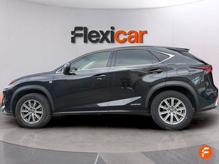Lexus NX 2.5 300h Business 2WD