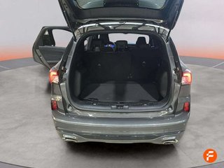 Ford Kuga ST-Line 2.0 EcoBlue 88kW (120CV) Auto