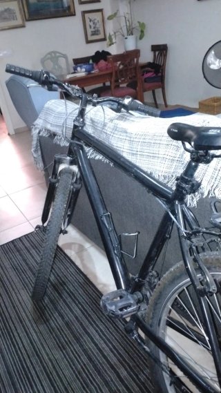 Bicicleta Negra