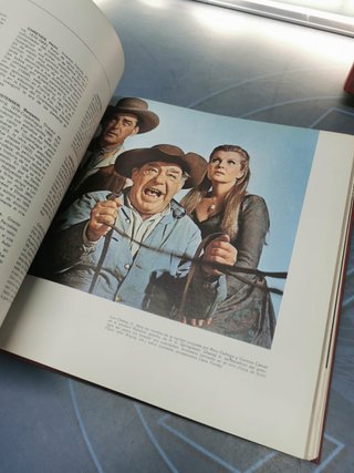 2 tomos de 4 (A-F, G-O) .. ENCICLOPEDIA ILUSTRADA DEL CINE, editorial labor