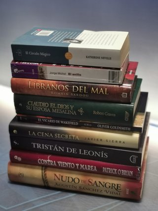 9 libros, ficción histórica, NUDO DE SANGRE, EL ANILLO, LA CENA SECRETA, CONTRA VIENTO Y MAREA...