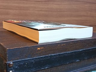 Norte Oscuro – Gillian Bradshaw