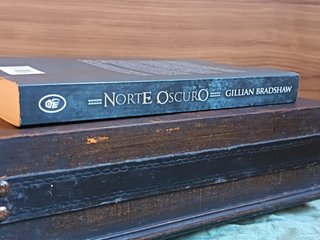 Norte Oscuro – Gillian Bradshaw