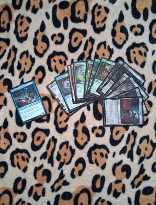 Magic The Gathering Cartas 14