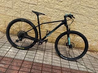 Bicicleta Orbea Alma