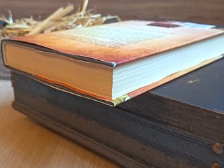 Los Últimos Días del Imperio Celeste – David Yagüe