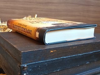 Los Últimos Días del Imperio Celeste – David Yagüe