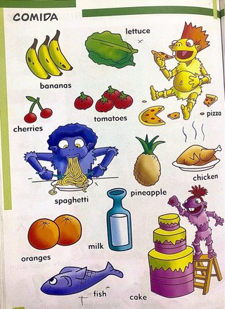 Mi Primer Diccionario de Ingles